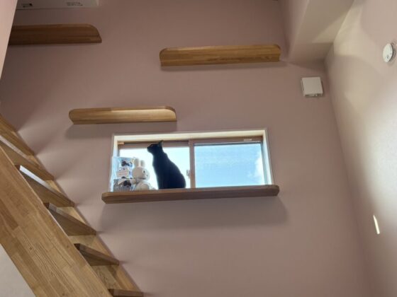 黒猫 キャットウォーク